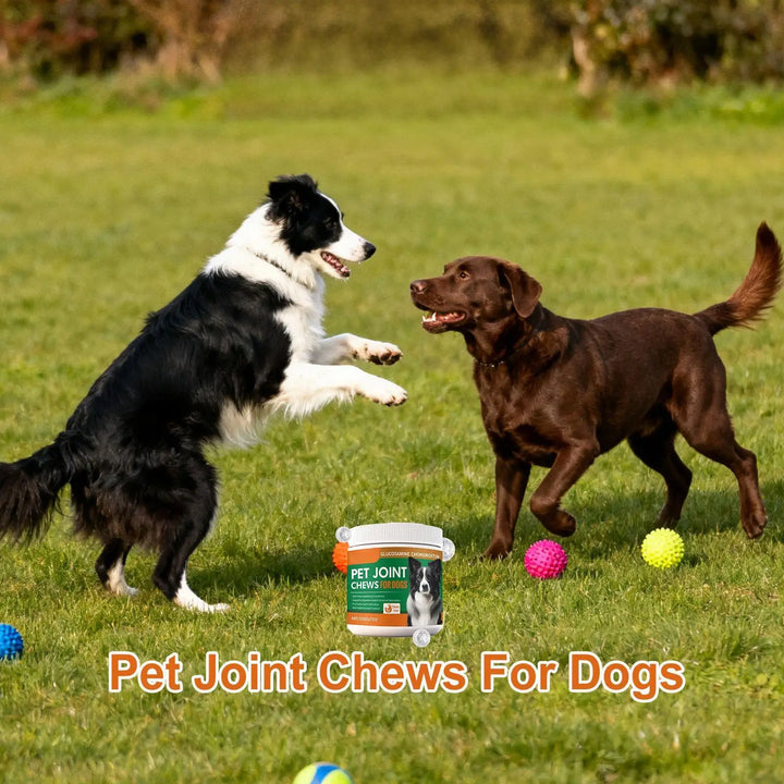 Joint Supplement For Dogs Natural Chews Pill Dry Food