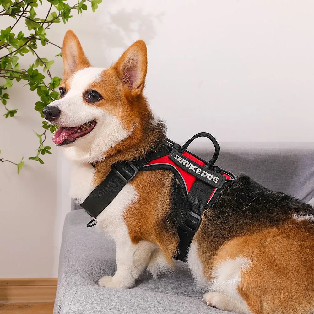Reflective Pet Dog Harness Dog Accessories Leash