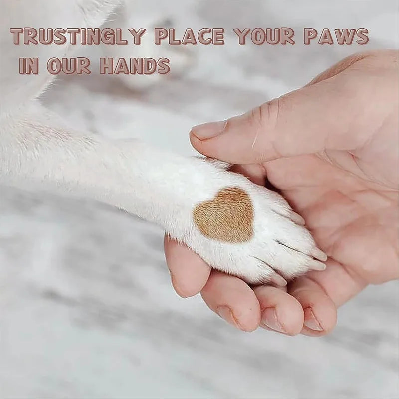 Dog Nail File Nail File For Dogs Scratch Square For Dogs