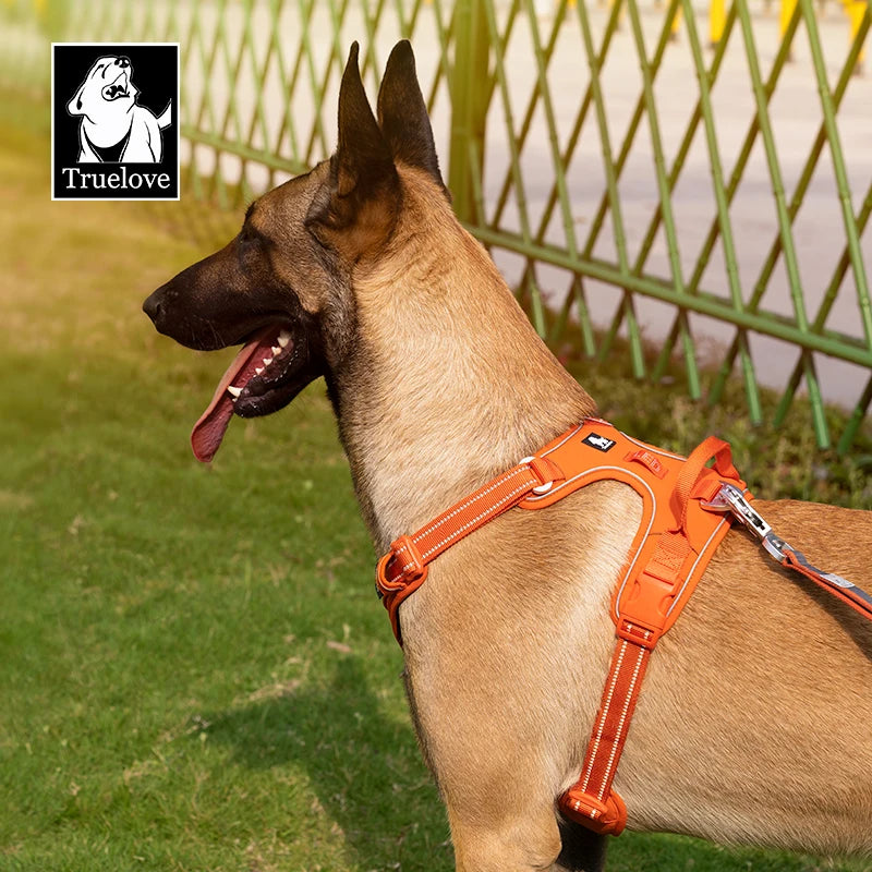 Pet Harness No Pull Nylon Reflective Dog Leash Pet Collar