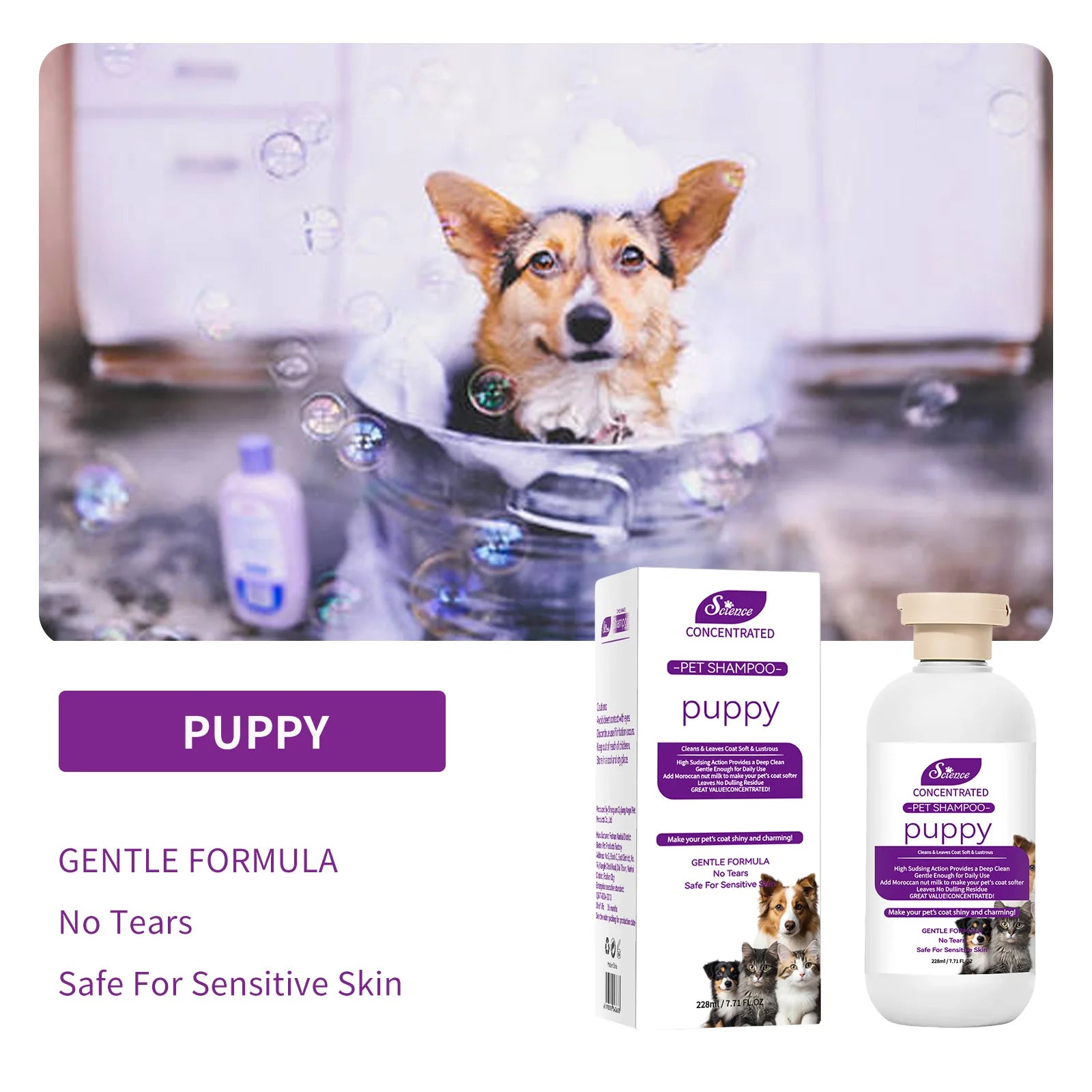 Pet Grooming for Sensitive Skin  Hypoallergenic Shampoo