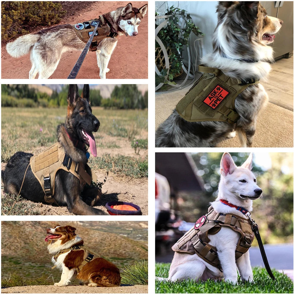 Military Large Dog Harness Pet Leash Collar