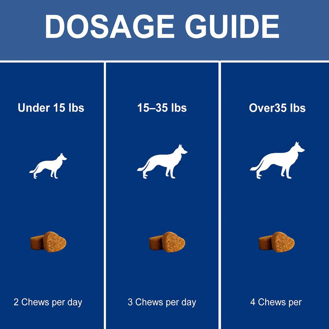 Dog Gut Health Supplement Healthy Treats Natural Skin Care