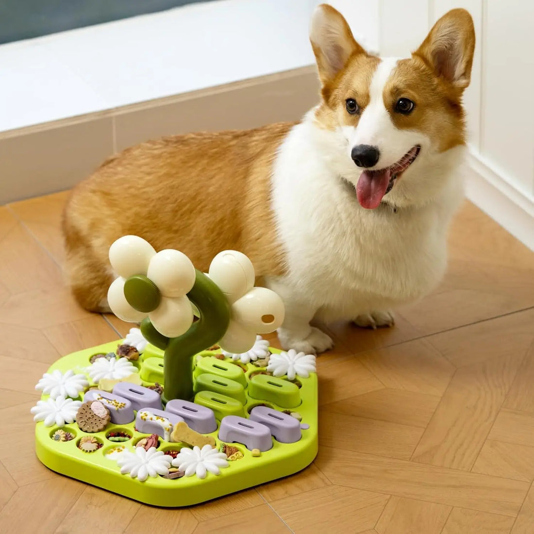 Dog Puzzle Toy Enrichment Toys for Dogs IQ Training Dog