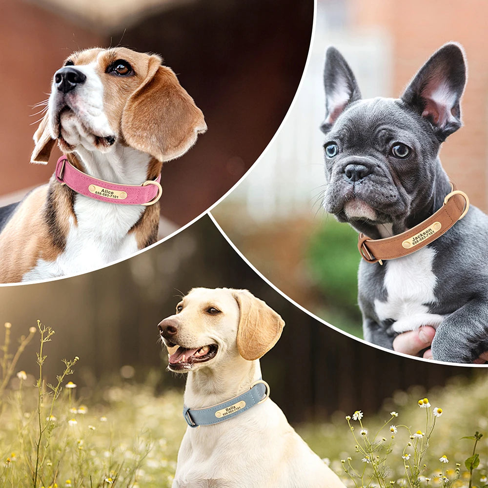 Dog Collar Custom Engraved PU Leather Dog Leash