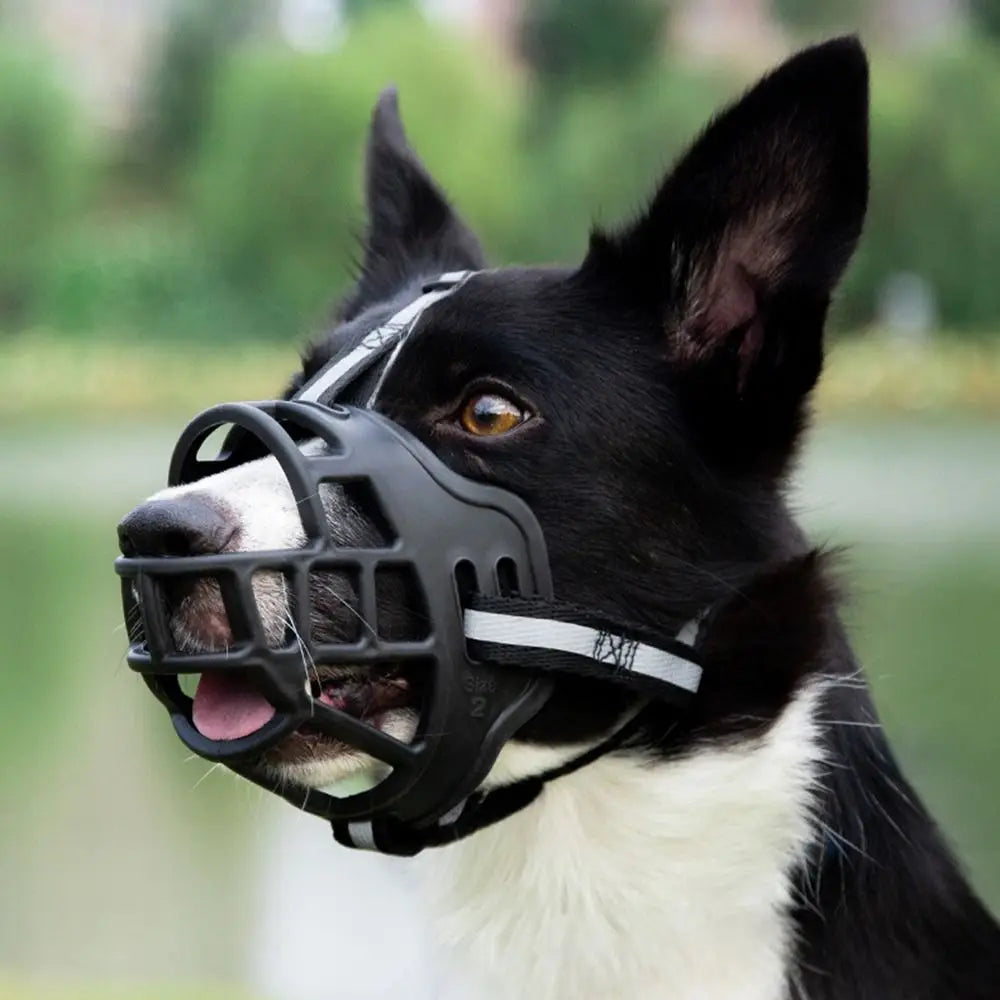 Adjustable Dog Muzzle Anti-Biting Mouth Dog essentials
