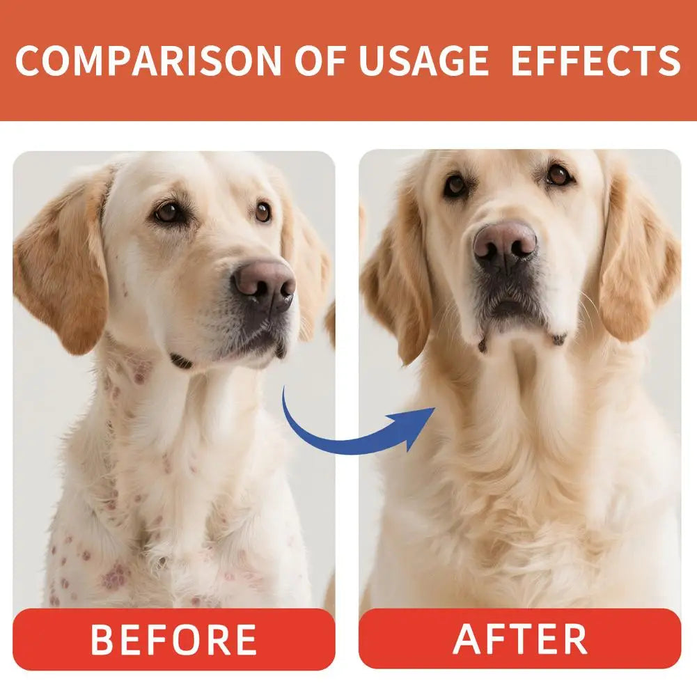 Bacon Taste Pet Mushroom Powder Natural Wet Food