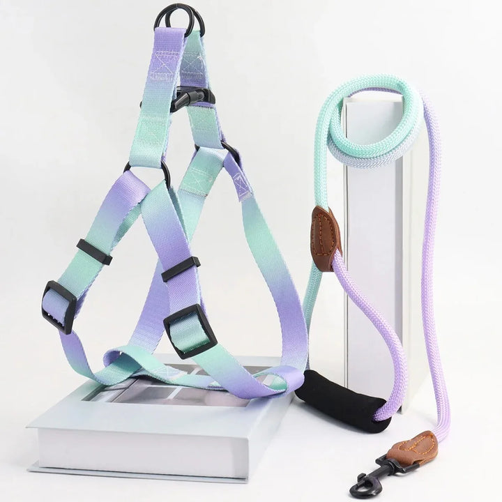 Chest for Dog Harness for Dogs Small Dog Leash Pet Collar
