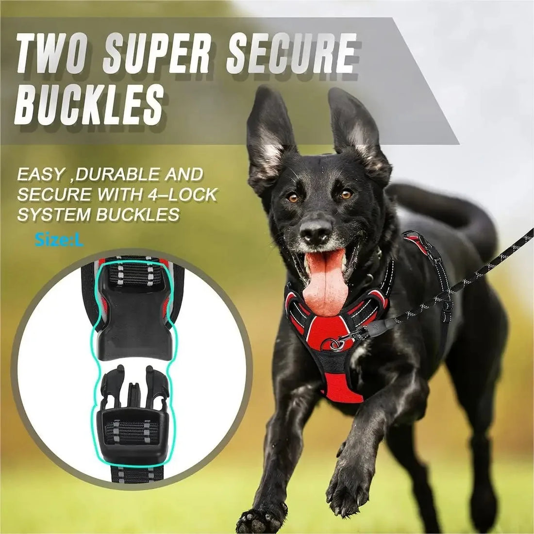 Dog Collars Harness Big Vests Leash Pet Shop Dog Leash