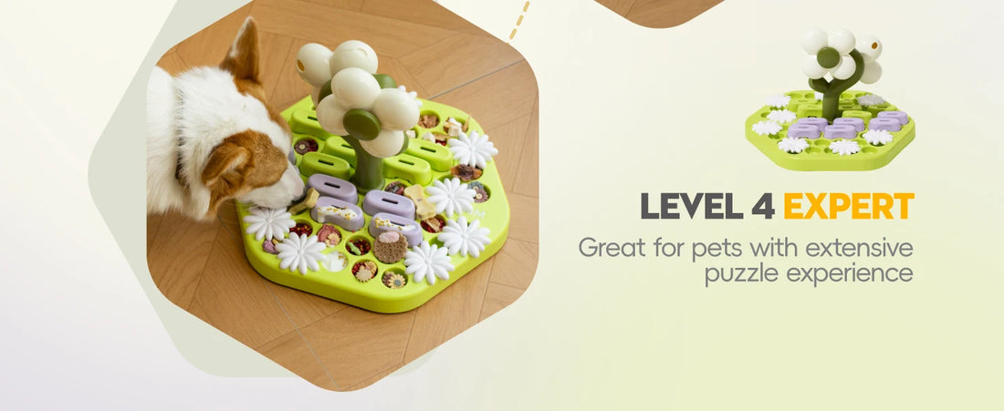 Dog Puzzle Toy Enrichment Toys for Dogs IQ Training Dog