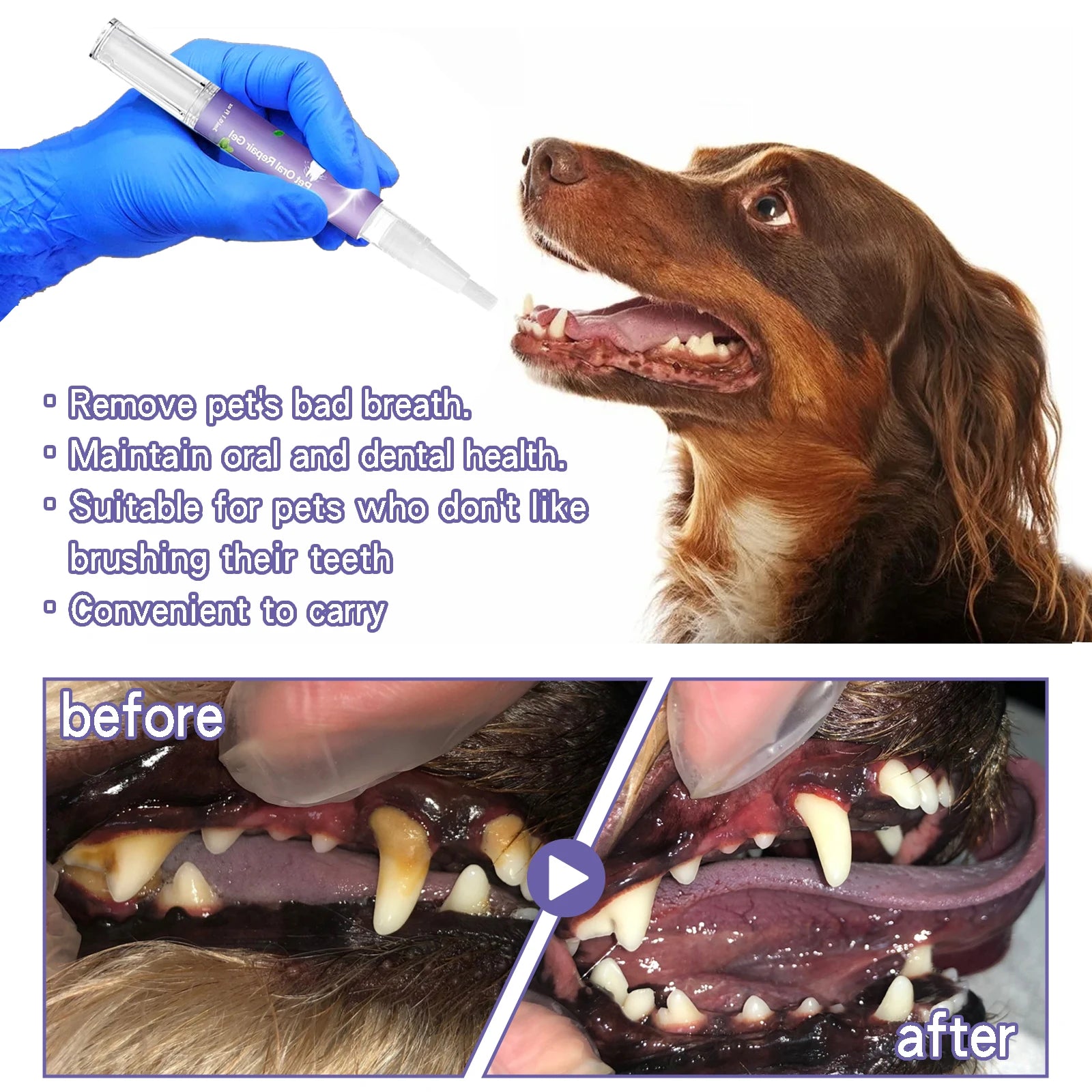 Pet Dental Gel Teeth Cleaning Pen for Dogs Dental Care