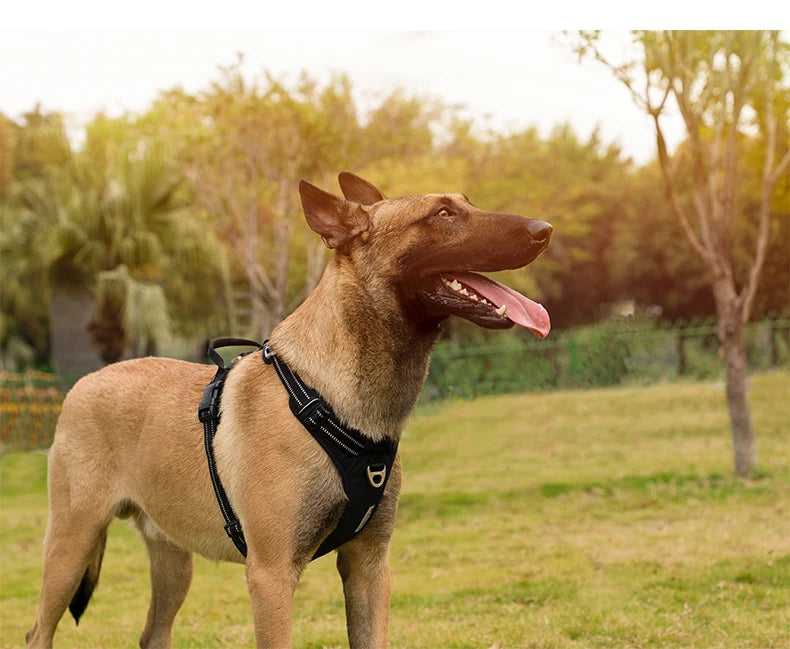 Pet Harness No Pull Nylon Reflective Dog Leash Pet Collar