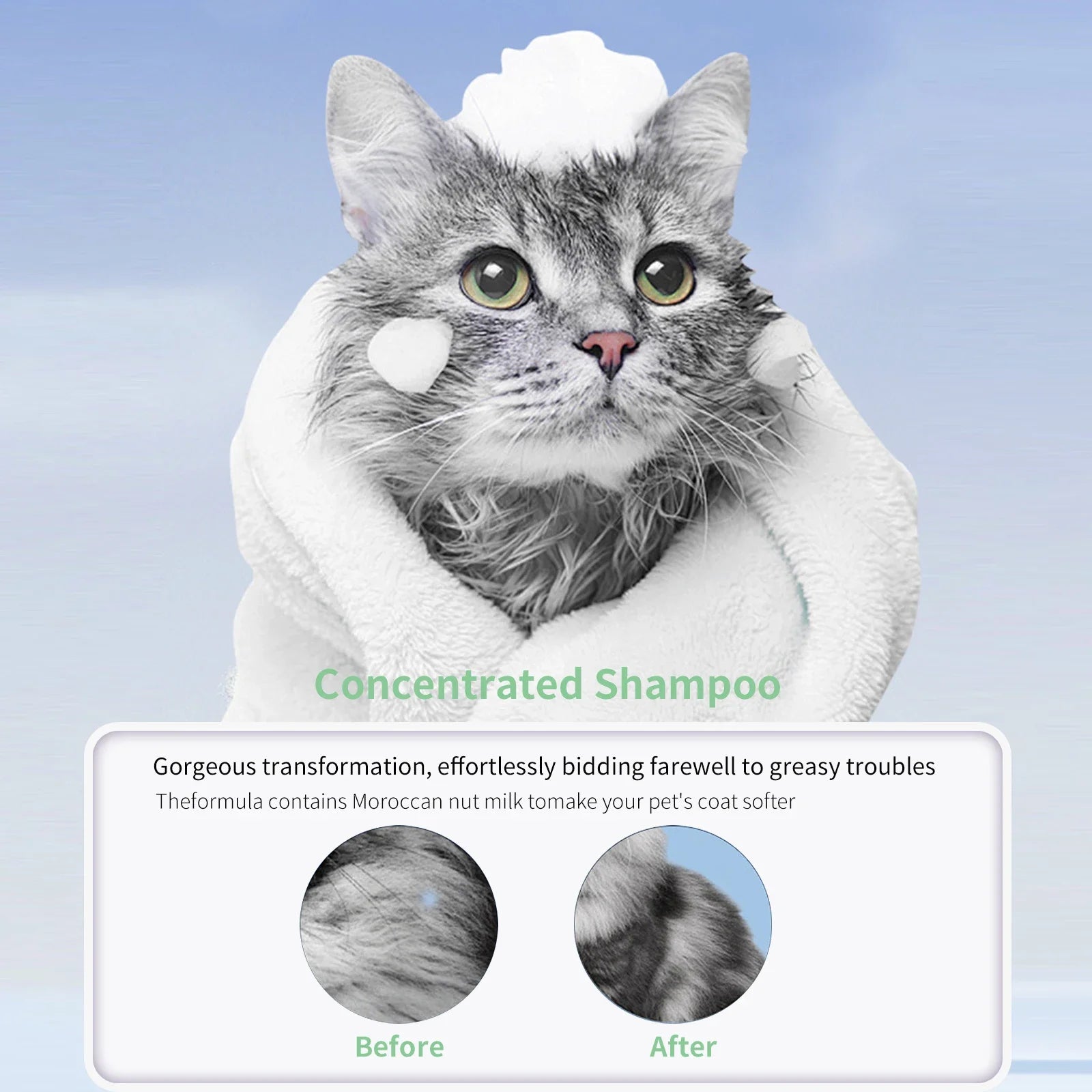 Pet Grooming for Sensitive Skin  Hypoallergenic Shampoo