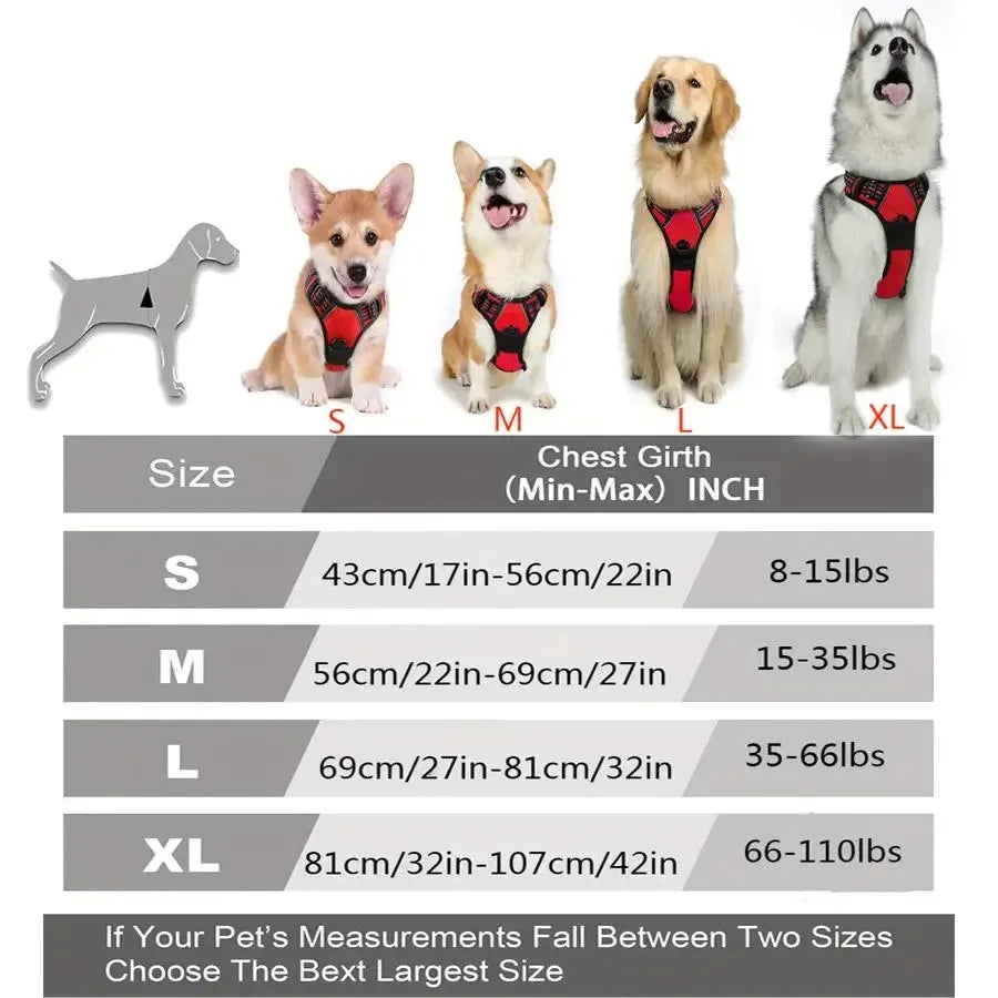 Dog Collars Harness Big Vests Leash Pet Shop Dog Leash
