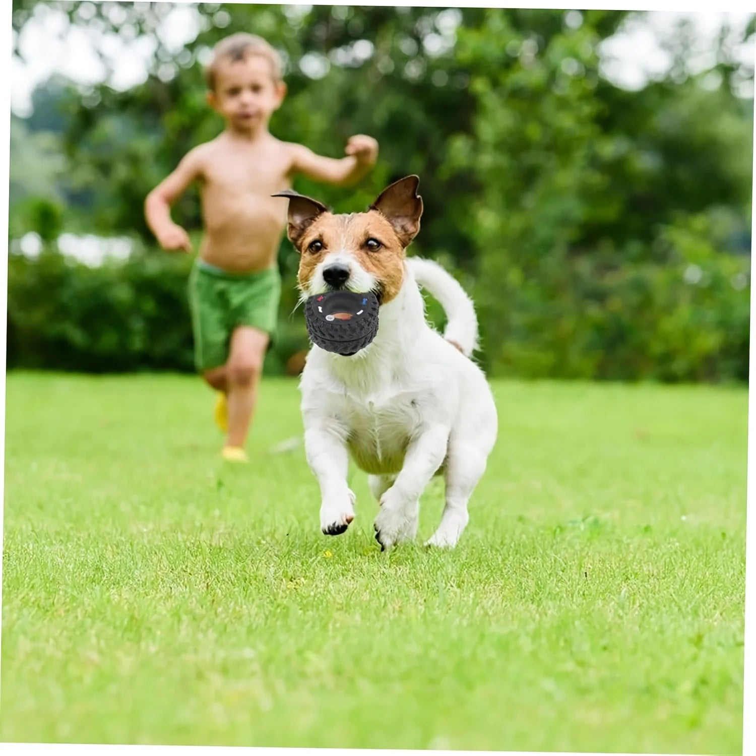 Dog Chew Wheel Toy Chew Suitable for Puppies Dogs