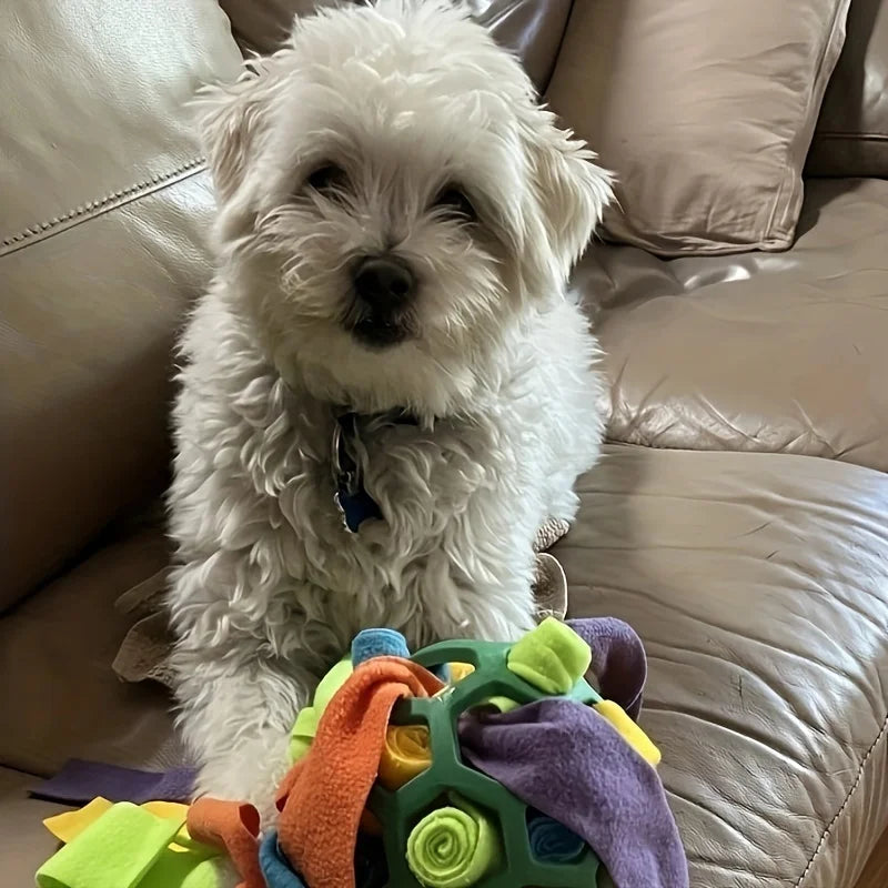 Interactive Dog Toy Sniffing Ball for Hiding Treats Treat Toys