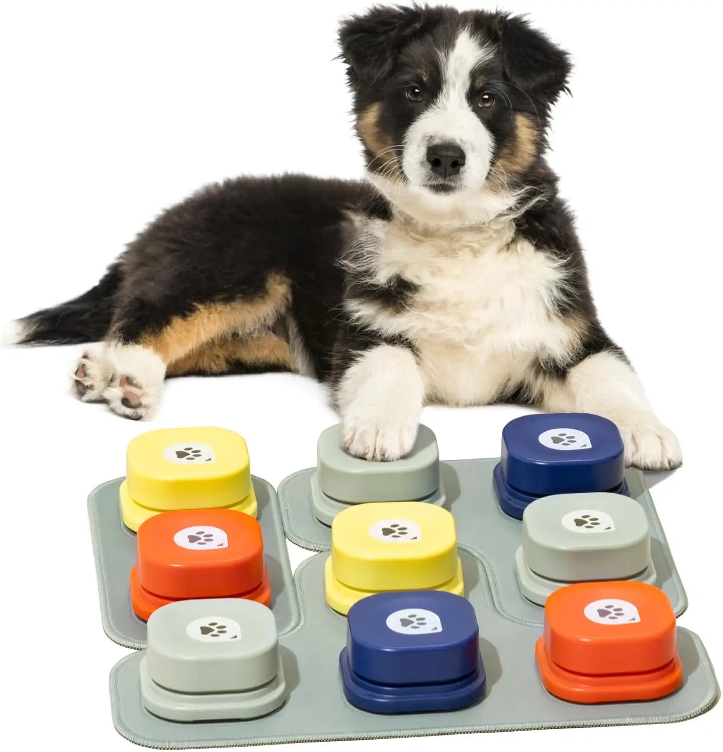 Mewoofun Dog Buttons with Rubber Mat Recordable Dog