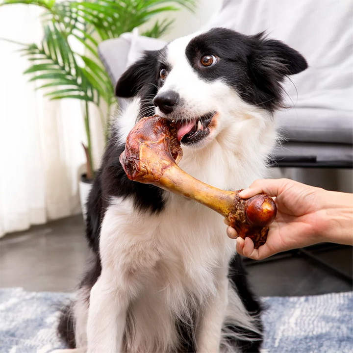 Large Cow Bone All Natural Ingredients, Dog Treats