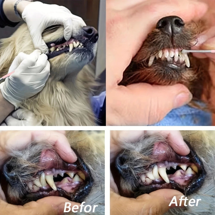 Dog Tooth Cleaner Stainless Steel Tartar Removers Scraper