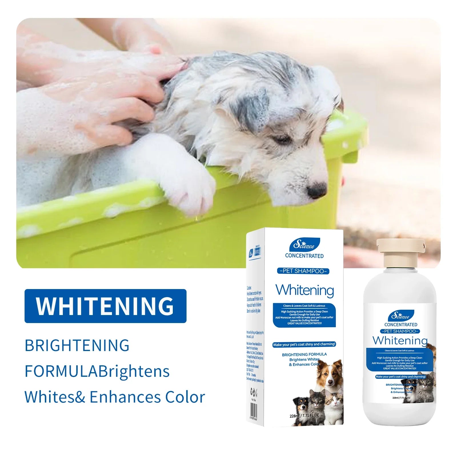 Pet Grooming for Sensitive Skin  Hypoallergenic Shampoo