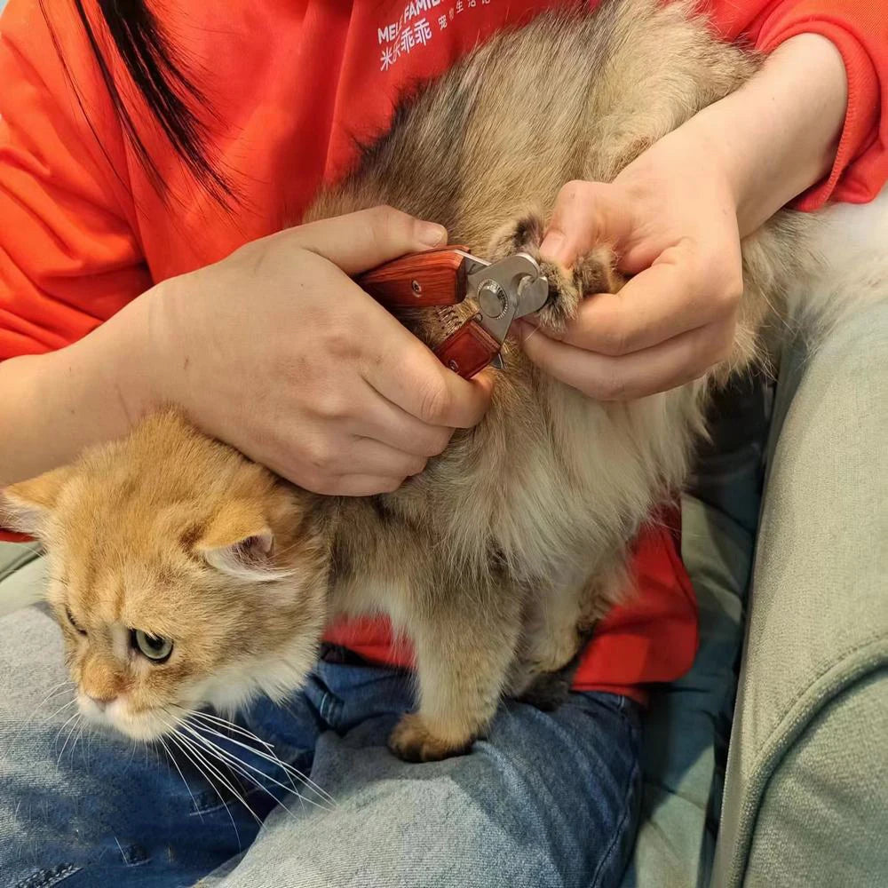 Dog Nail Clippers Cat And Dog Cleaning Tools equipment