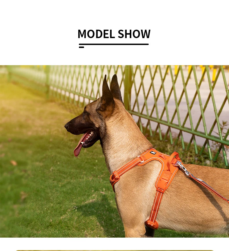 Pet Harness No Pull Nylon Reflective Dog Leash Pet Collar