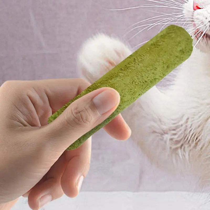 Cat Grass Teething Stick  Freeze dried Cat Dog Snacks