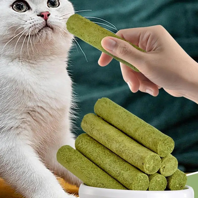 Cat Grass Teething Stick  Freeze dried Cat Dog Snacks