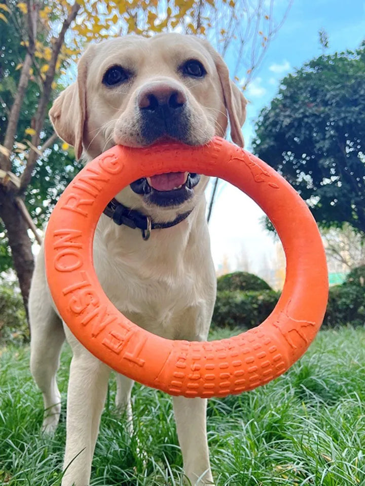 Dog Ring Toys Rubber Chewing Flying Floating Fetch Toys