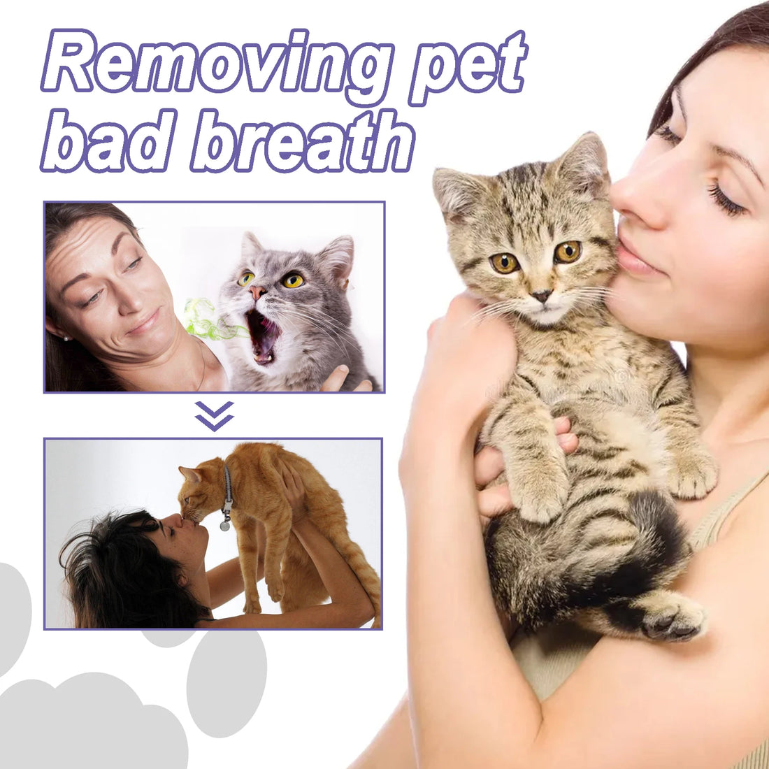 Pet Dental Gel Teeth Cleaning Pen for Dogs Dental Care