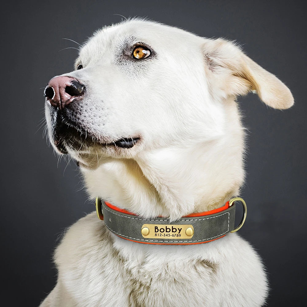 Customized PU Leather Nameplate Collar Dog Leash