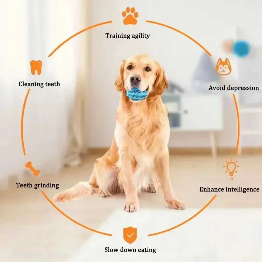 Pet Dog Toys Chew For Dogs Toy Teeth Treat Dog Toys