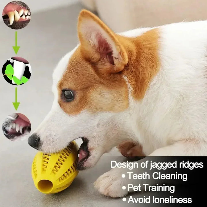 Pet Dog Toys Chew For Dogs Toy Teeth Treat Dog Toys