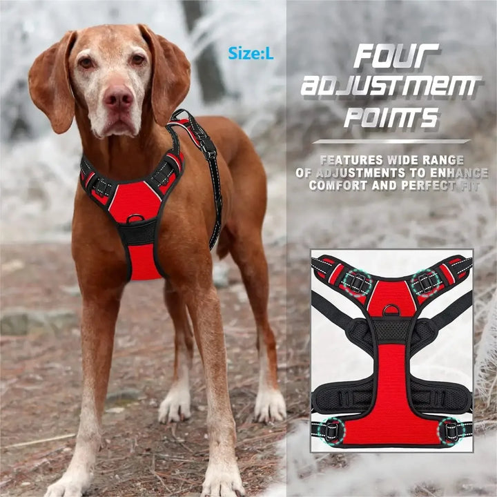 Dog Collars Harness Big Vests Leash Pet Shop Dog Leash