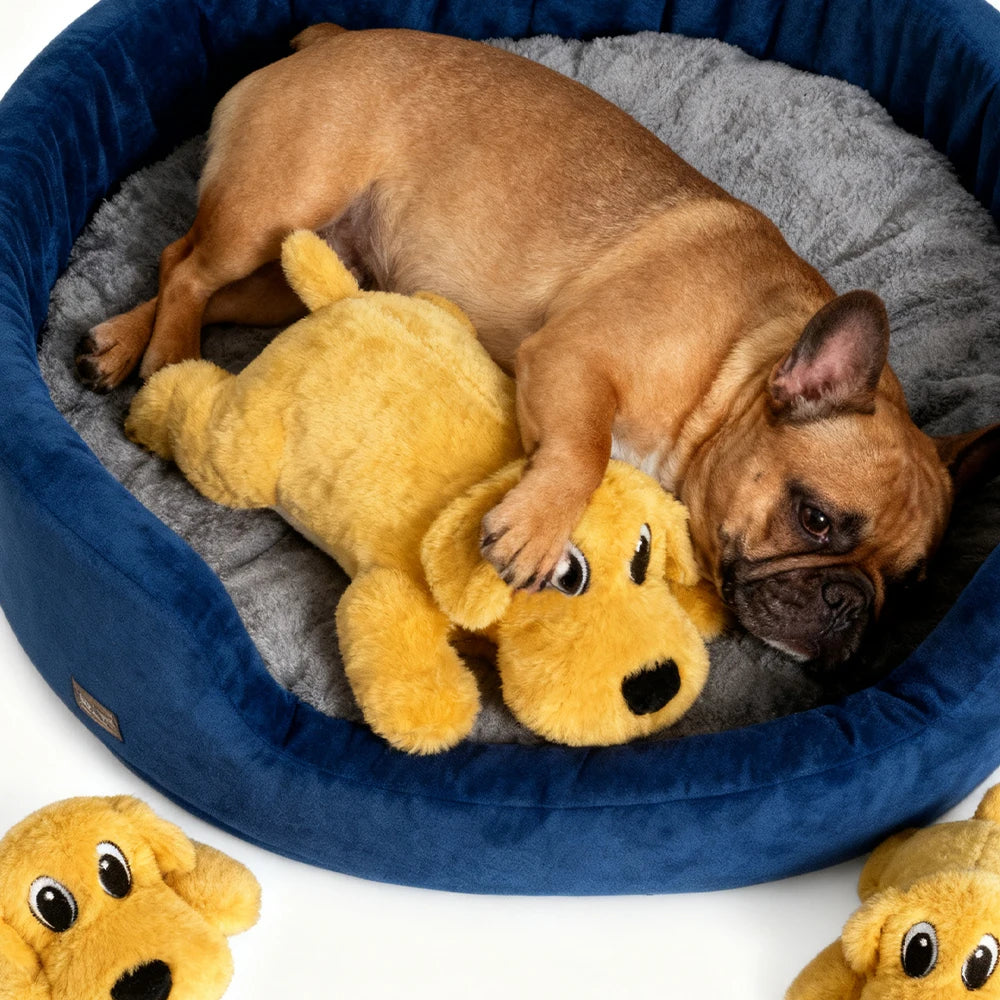 Interactive Soothing Plush Toy for Dogs  Sound Toy