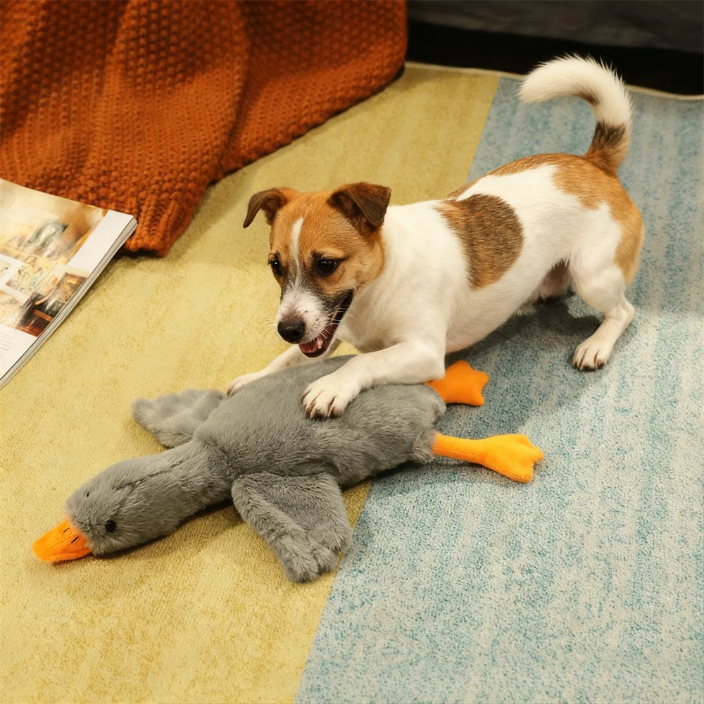 Colorful Duck Plush Toy for Dogs Relax Pet Buddy