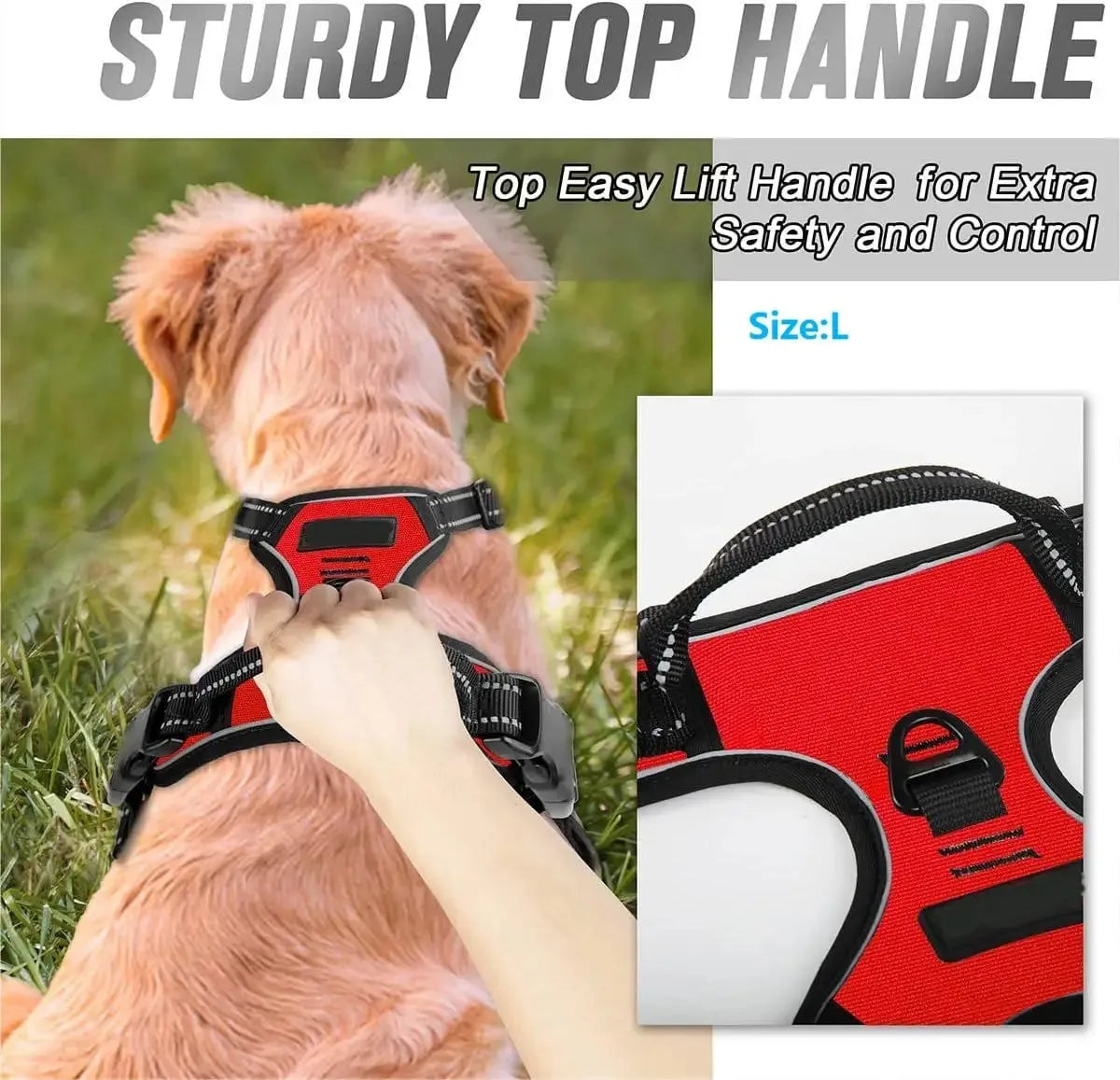 Dog Collars Harness Big Vests Leash Pet Shop Dog Leash
