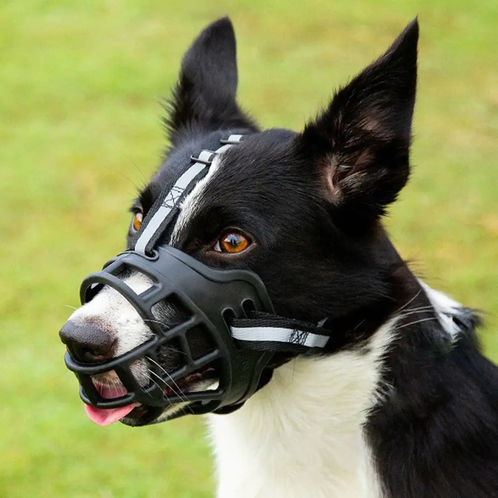 Adjustable Dog Muzzle Anti-Biting Mouth Dog essentials