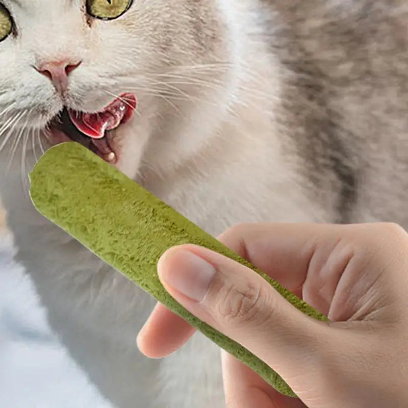 Cat Grass Teething Stick  Freeze dried Cat Dog Snacks