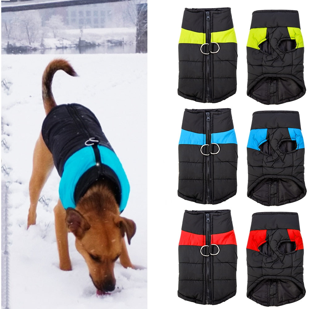 Waterproof Winter Pet Clothes for Dogs