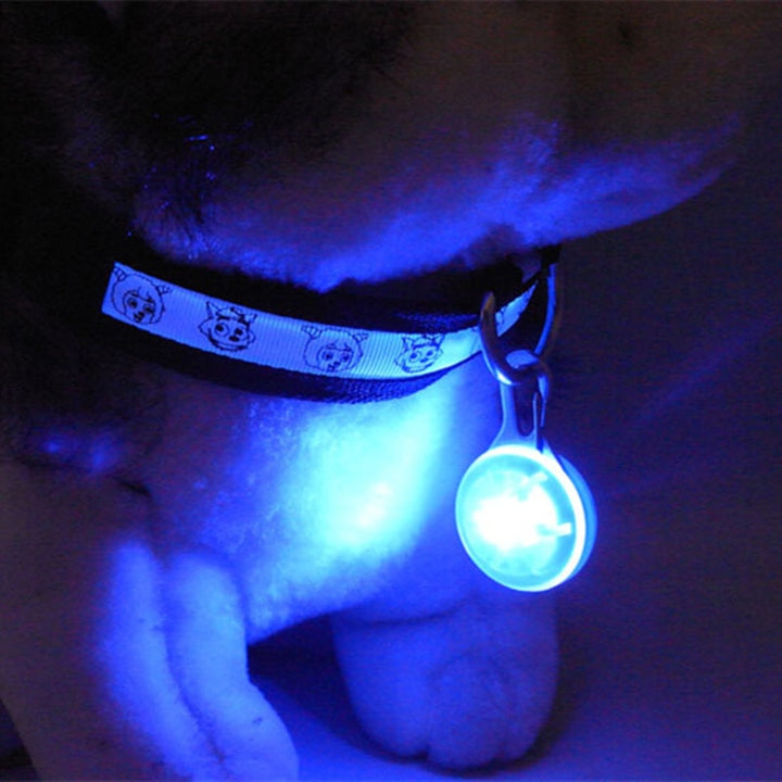 Rechargable LED Dog Collar