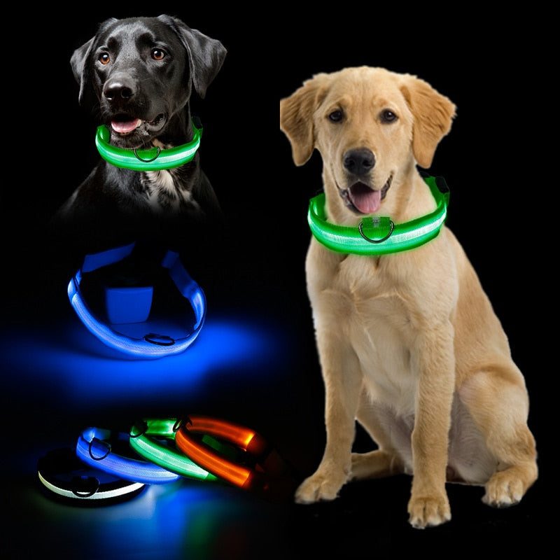 Adjustable Small Pet Luminous Safety LED Collar