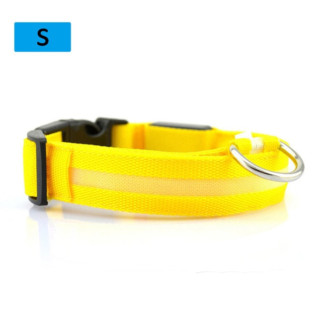 Adjustable Small Pet Luminous Safety LED Collar