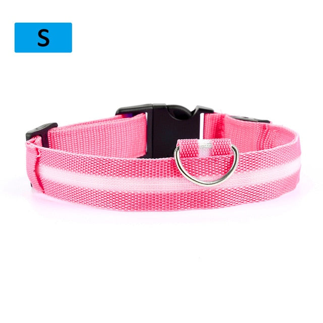 Adjustable Small Pet Luminous Safety LED Collar