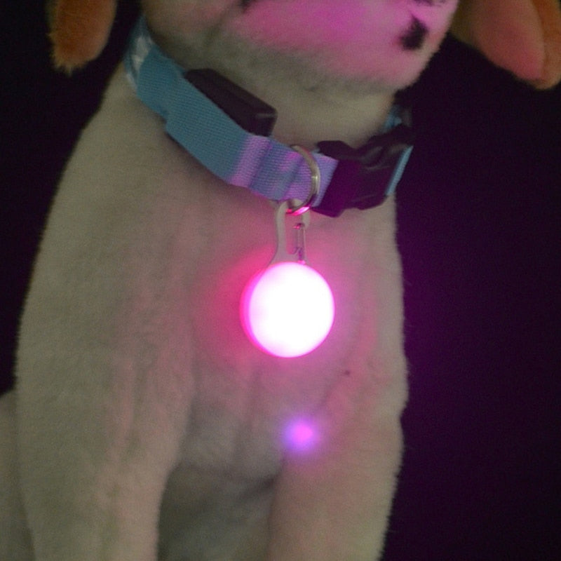 LED Night Light Dog Collar