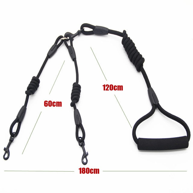 Double Twin Lead Walking Leash Collar