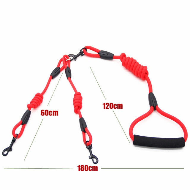 Double Twin Lead Walking Leash Collar