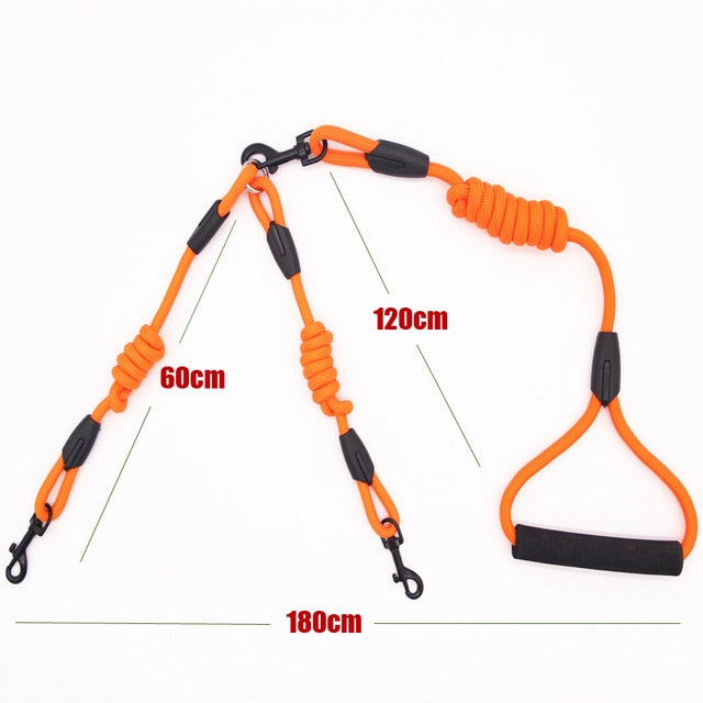 Double Twin Lead Walking Leash Collar