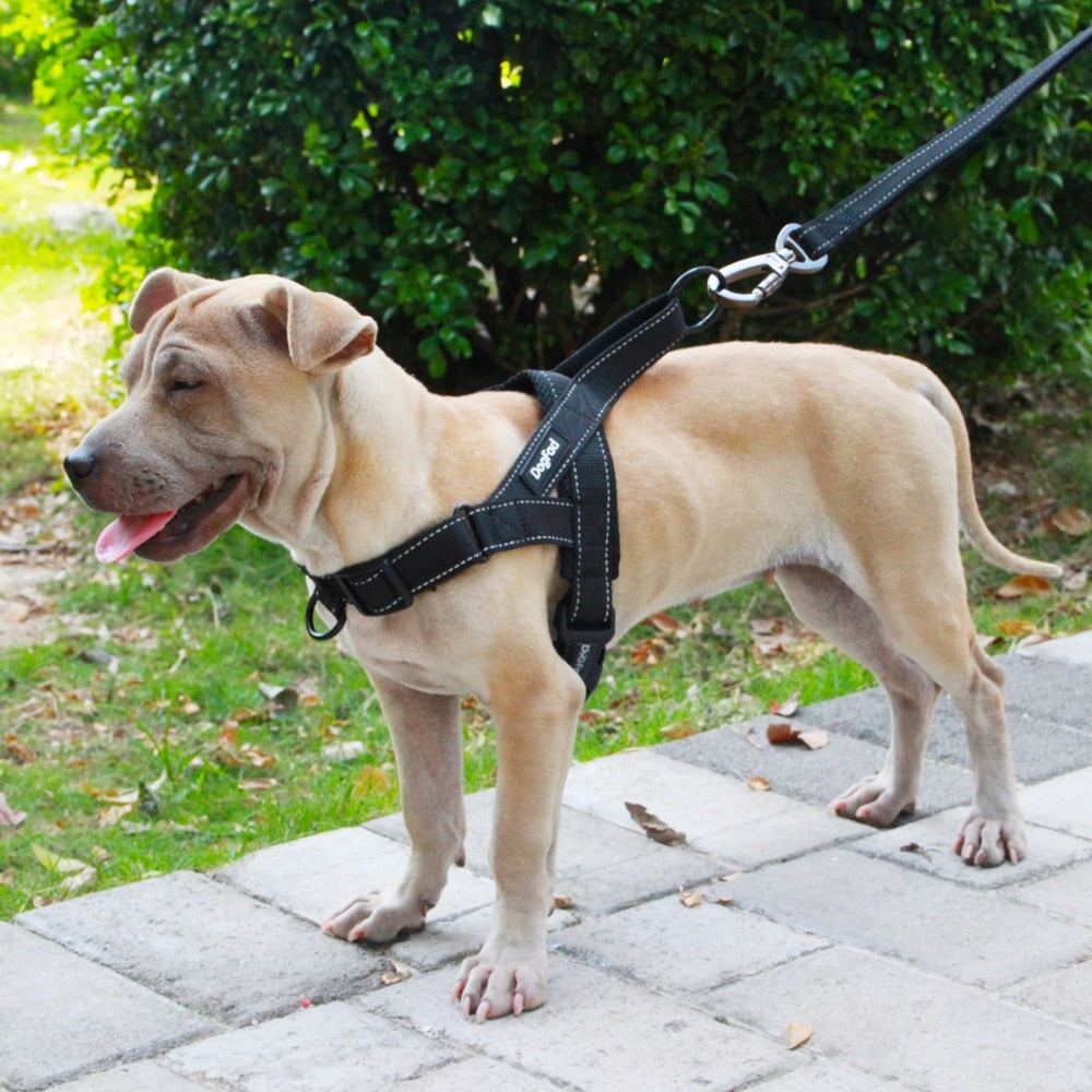 Adjustable Training Vest For Pet Dogs