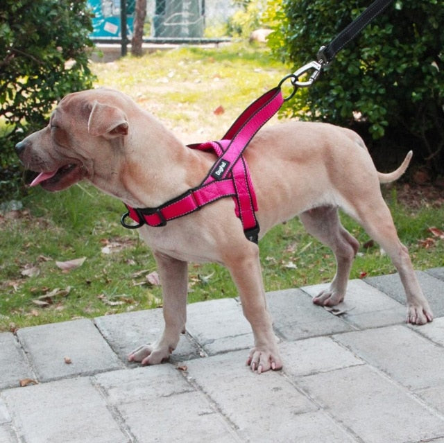Adjustable Training Vest For Pet Dogs
